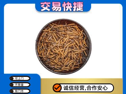 揭阳回收散虫草